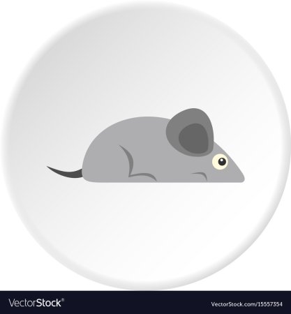 Мыши в кругу