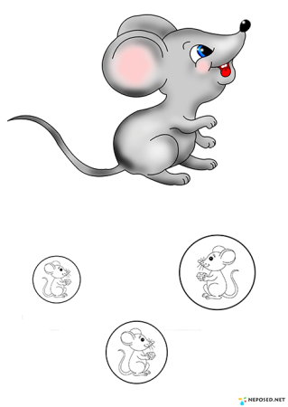 Мышь для дошкольников
