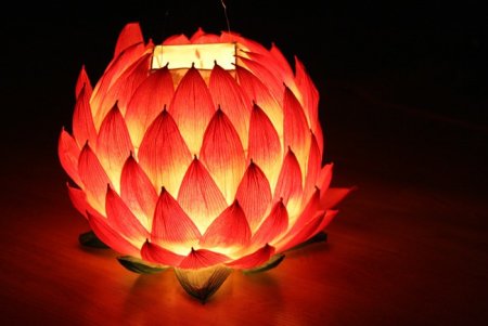 Китайские фонарики Лотосы