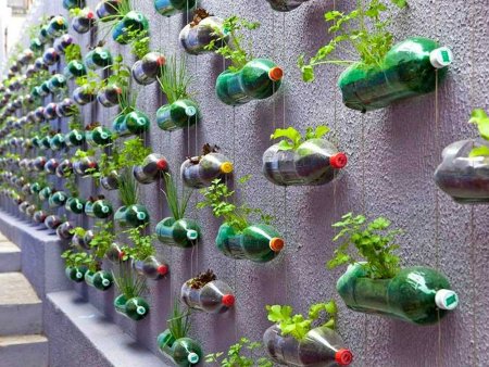 Пластиковые бутылки для сада