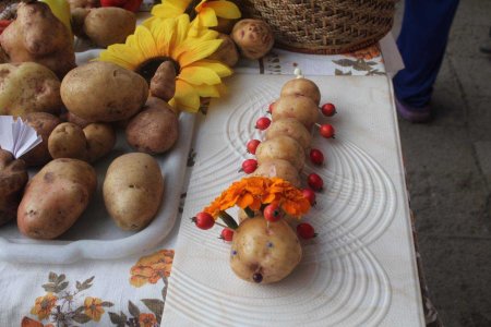 Поделки из картошки в детский сад
